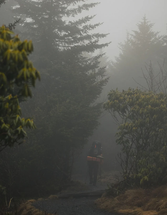 innere-meisterschaft-mentoren-qualitaeten