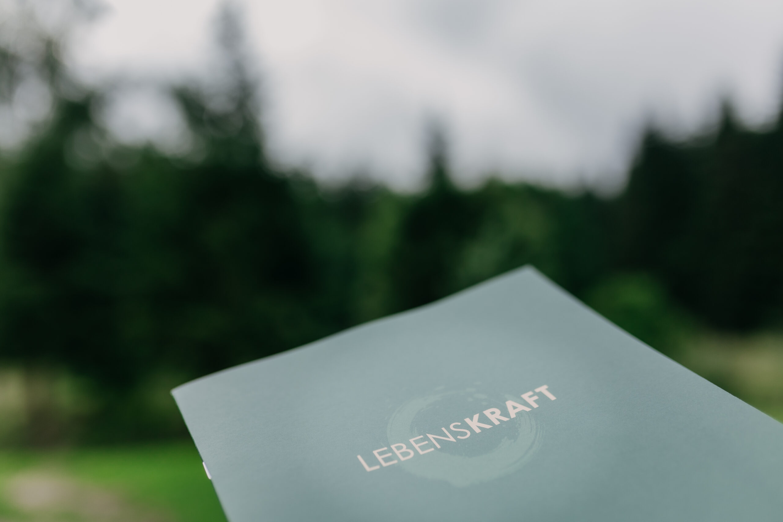 LEBENSKRAFT Videokurs – Bild 4
