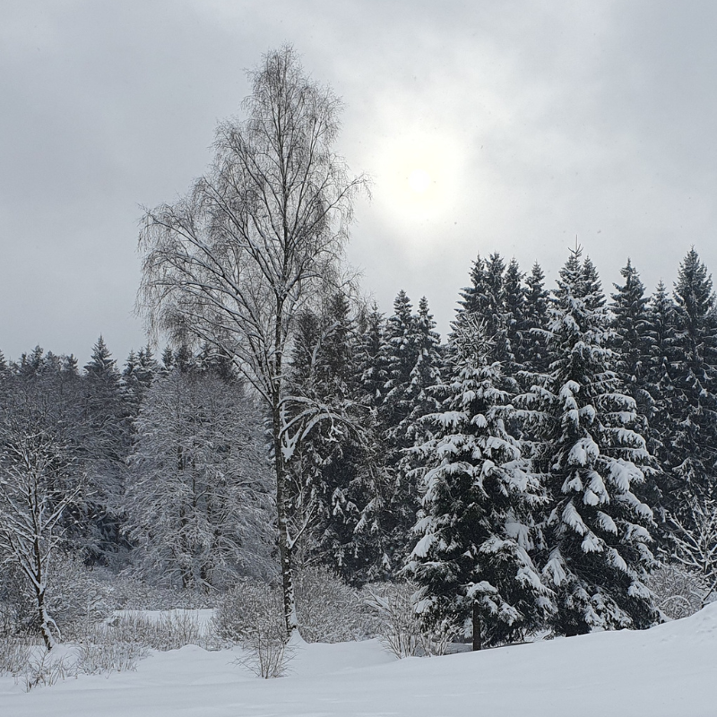 LEBENSKRAFT Winter-Seminar